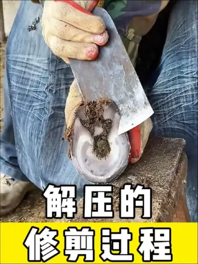 解压的修剪过程，专业驴蹄修理#解压 #解压视频 #驴蹄 #修驴蹄 #养殖