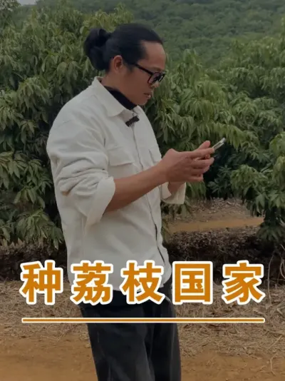能种荔枝的国家地区有哪些？#广西灵山荔枝果苗#农业创业#抖音新农人计划2025#吕老师种果苗