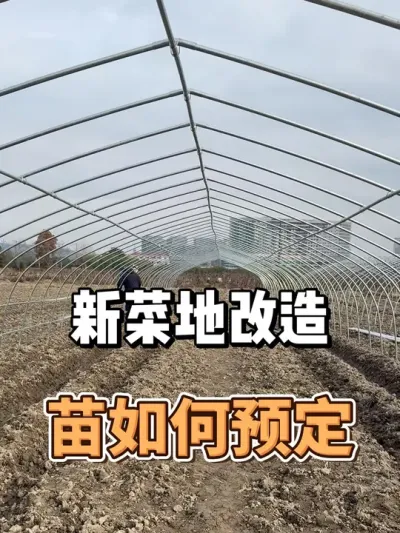 新菜地改造第16集，苗怎么预定 #农业种植 #三农 #种菜