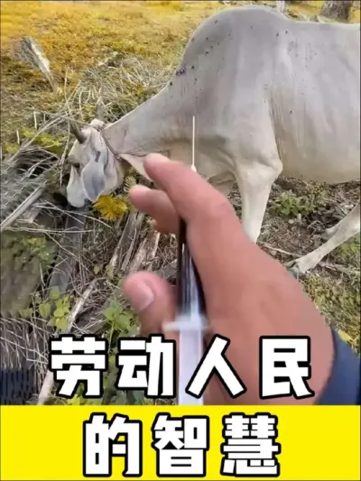 #劳动人民的智慧 #生活小妙招 #神操作 #创意发明 #劳动人民最光荣
