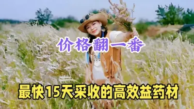 亩用种子只要300元，价格比去年翻一番，持续高涨，收益很快 #三农 #药材种植 #携手助农 #致富 #新农业