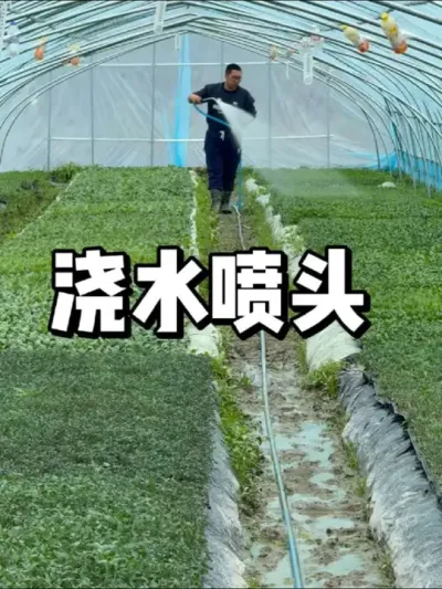 种菜浇水喷头怎么选择，细一点适合浇菜吗 