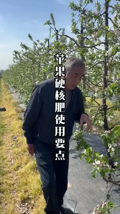 果树该补肥还是要补肥，该控旺还是要控旺！#果树种植 #田间地头实操干货 #来抖音学农技 #春耕农技知识 #果树管理