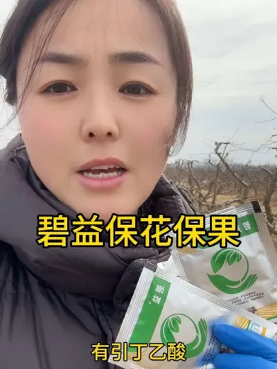 保花保果 需要碧益保花保果调整果形的直接拍就可以#农业植保知识分享 #分享农业知识帮农民增产增收 #自家果园