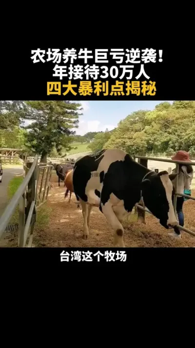 这家农场从养牛巨亏到年接待30万人 #乡村振兴 #农场 #休闲农业 #三农 #新农人