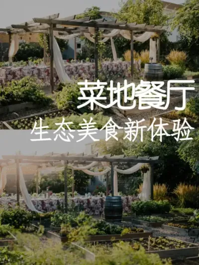 菜地开餐厅！现摘现做的田园美味太吸客 #小院改造 #小院时光 #天雅设计 #景观设计 #创意