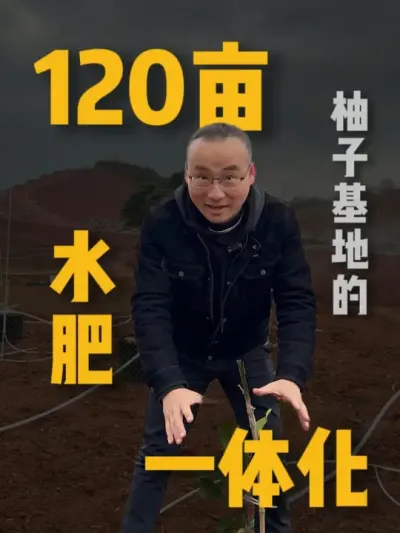 基地水肥一体化的提前的规划和设计至关重要。不仅能提高资源利用效率、还能降低投资风险、提升管理效率、促进可持续发展并增强抗风险能力。#农业种植 #抖音助农 #水肥一体化 #智慧农业