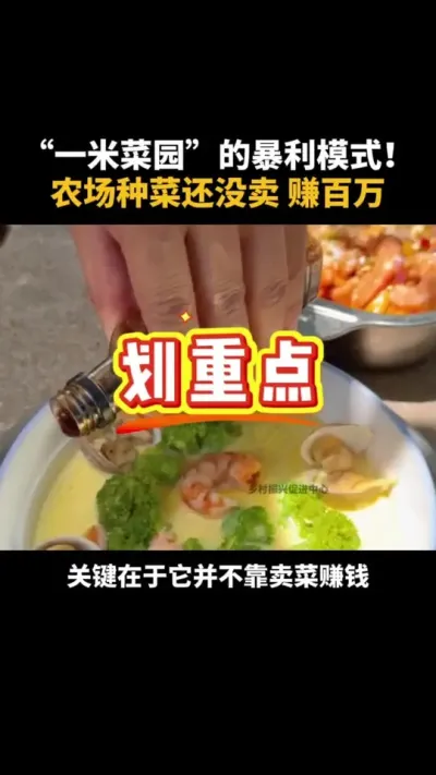一米菜园的暴利模式！农场种菜还没卖赚百万！ #农场 #乡村振兴 #亲子 #三农 #休闲农业