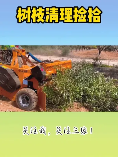 树枝清理捡拾机械，直接粉碎回土 #树枝清理机 #树枝粉碎机 #园林绿化