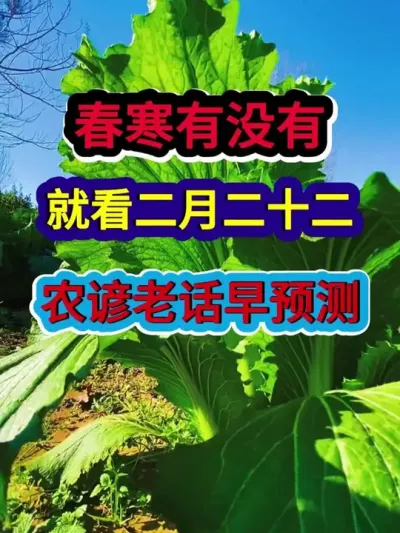 春寒有没有就看二月二十二农谚老话早预测 #农业谚语 #农谚 #农谚老话 #农业种植 #分享农业知识帮农民增产增收