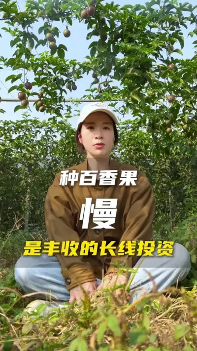 百香果种植一心求快，不顾后果，得不偿失。#百香果#百香果种植技术#抖音助农