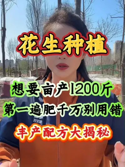种植花生想要高产丰收，第一遍肥别上错#种植花生 #花生高产种植 #种花生 #三农 #农业种植