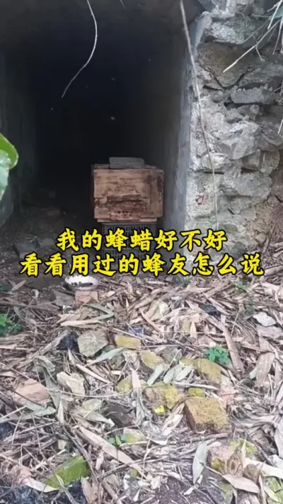 我的蜂蜡好不好？看看用过的朋友怎么说。这两天又有几位大哥给我发过来来蜂现场