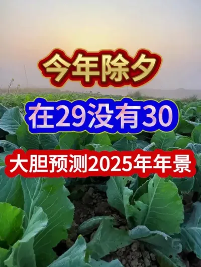 今年除夕在29没有30大胆预测2025年年景 #农业种植 #农业谚语 #农谚 #三农 #分享农业知识帮农民增产增收