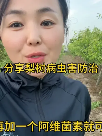 梨树病虫害 #传播农业小知识 #分享农业知识帮农民增产增收 #农业植保知识分享 #果树管理技术 #自家果园