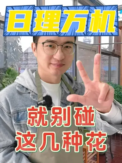 没时间没精力，就别碰这几种花！ #养花  #花卉绿植  #养花小知识