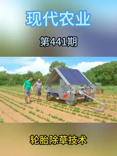 英国躺着除草机器人 #农业种植 #助力三农 #农业机械 #三农种植 #农业