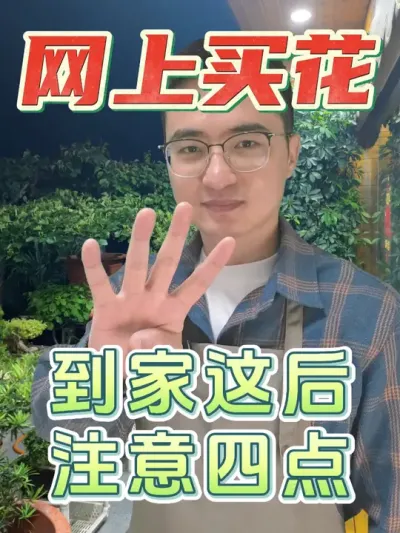 网上买的花，到家之后一定注意这四点！ #养花  #花卉绿植  #网上买花
