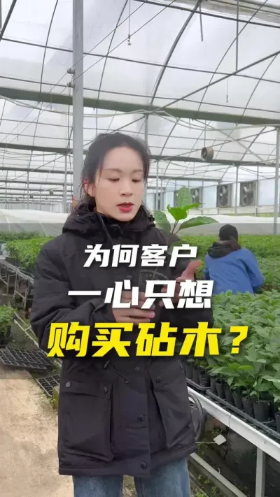 有客户要跟我们卖砧木？种植不易每一个环节都要谨慎。#优质种苗 #百香果 #农业种植