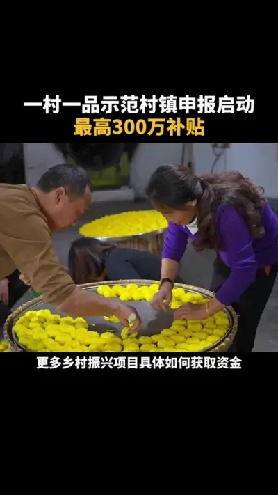 一村一品示范村镇申报启动，最高300万补贴 #乡村振兴 #一村一品 #补贴 #乡村 #三农