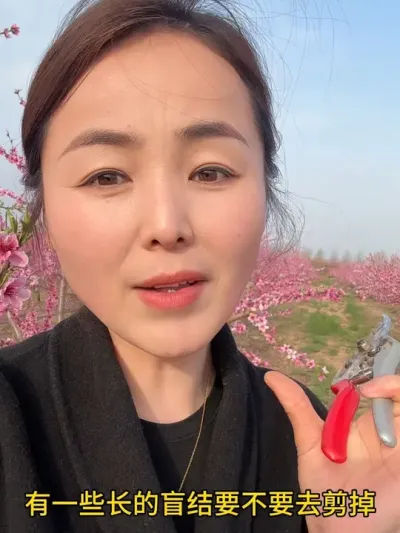 #分享农业知识帮农民增产增收 #自家果园 #果树