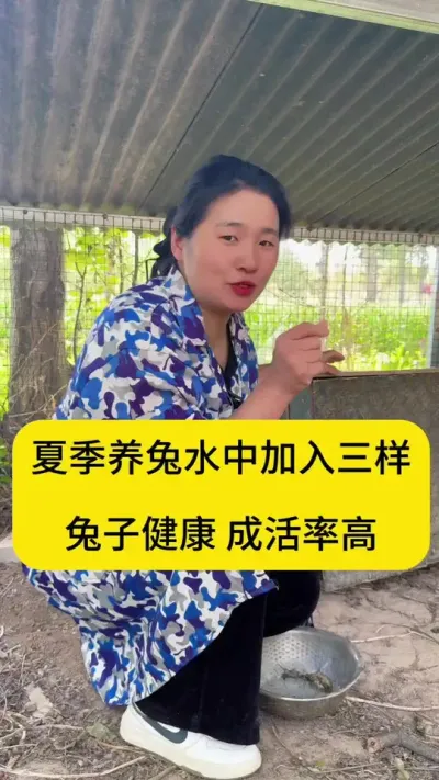 夏季养兔加入三样，兔子长的肥又壮，远离兔丙#兔子 #养兔人 #肉兔养殖