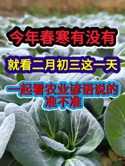 今年春寒有没有就看二月初三这一天一起看农业谚语说的准不准 #农业谚语 #农业种植 #传播农业小知识 #分享农业知识帮农民增产增收 #谚语分享