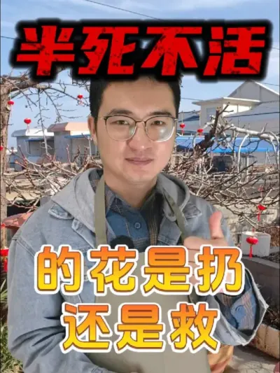 半死不活的花，是扔还是救? #养花 #花卉绿植 #家庭养花