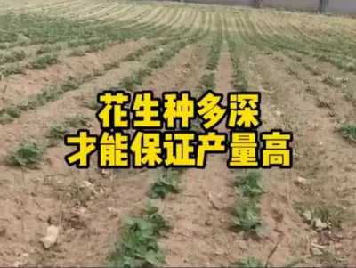 #农业人话农业#抖音助农#满益佳拌花生预防死苗#增产增收小配方