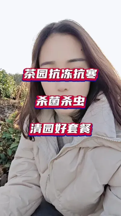 #茶园封园最佳时间 #茶树种植技术与管理 #秋冬季茶园封园工作