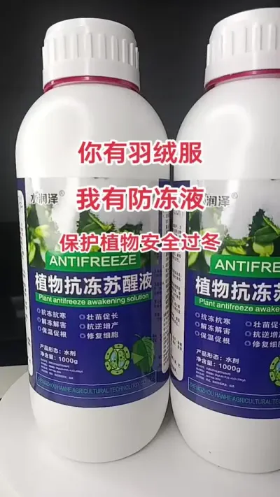 冬季降温作物冻伤冻害，用上这款防冻液，再冷的冬天都不怕了，抗冻抗寒，壮苗促长，保温促根，修复伤#防冻液 #蔬菜防冻剂 #抗寒神器 #三农 #植物防冻液抗冻剂