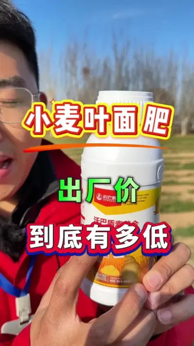 小麦增产叶面肥，工厂直销！价格实惠效果好！#小麦种植  #小麦叶面肥 #小麦高产  #小麦种植管理技术 #小麦施肥