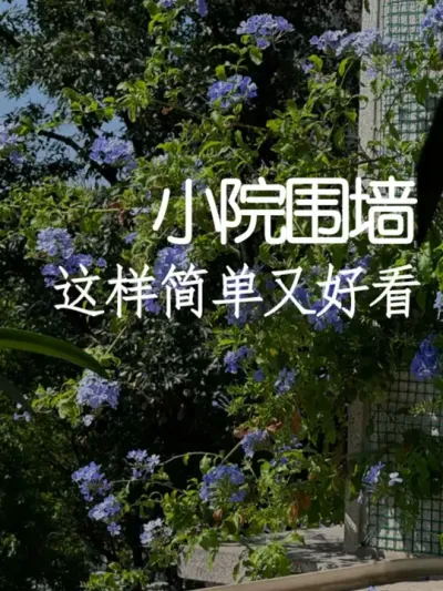 小院围墙这样做简单又好看！ #小院改造 #干货分享 #氛围感 #网红打卡地 #天雅设计