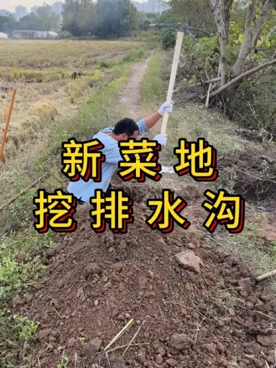 新菜地开荒第5集，挖排水沟 #三农 #种菜 #勤劳致富靠双手