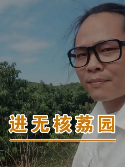 近距离走进无核荔枝园#广西灵山荔枝果苗#农业创业#抖音新农人计划2025#吕老师种果苗