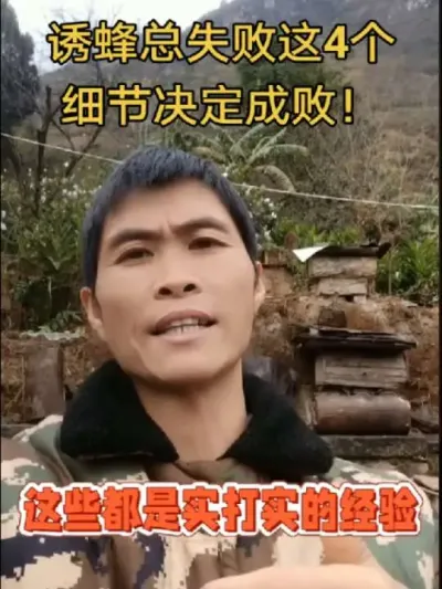 #内容启发搜索 #谌蜜 #诱蜂#养蜂技术分享 诱蜂总失败？这4个细节决定成败！@抖音小助手 @DOU+小助手