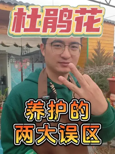 养杜鹃花有两大误区，看看你知道吗! #养花  #杜鹃花  #养花小知识