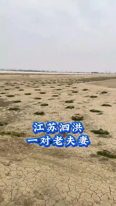 想让伊乐草全程趴着，长不出水，不黑根，烂根，解磷解钾菌撒起来#螃蟹养殖 #大闸蟹养殖 #河蟹养殖 #鱼虾蟹养殖 #三农 @DOU+小助手