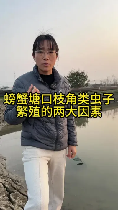 螃蟹塘口枝角类虫子繁殖的两大原因是什么！！！！ #渔多多养殖模式 #河蟹养殖 #三农 #水产养殖 #大闸蟹养殖