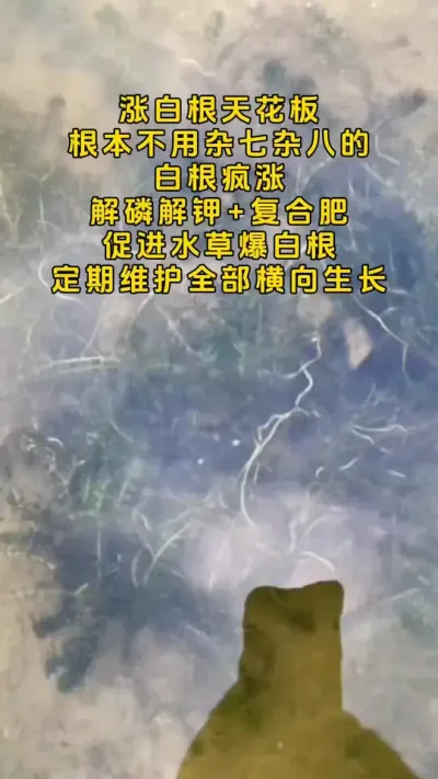 涨白根天花板，彻底拒绝各种杂七杂八的东西。#大闸蟹养殖 #河蟹养殖 #螃蟹养殖 #鱼虾蟹养殖 #三农 @DOU+小助手