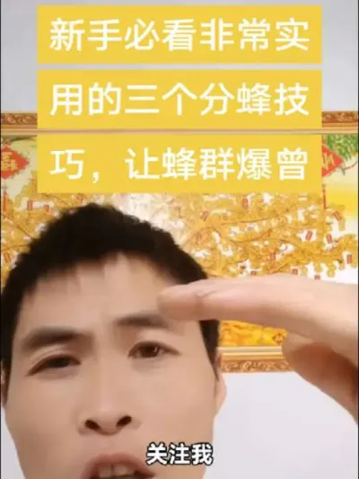 #内容启发搜索#谌蜜 #养蜂技术 #养蜂技术分享 ，新手必看，非常实用的三个分蜂技术，让你的蜂群爆曾。@抖音小助手 @DOU+小助手