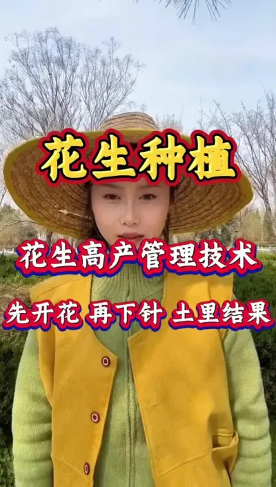 花生高产种植管理 #服务三农支持三农 #花生高产  #花生种植  #种花生 #抖音助农