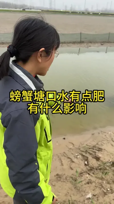 螃蟹塘口水肥有什么影响！！！！ #渔多多养殖模式 #水产养殖 #大闸蟹养殖 #三农 #河蟹养殖