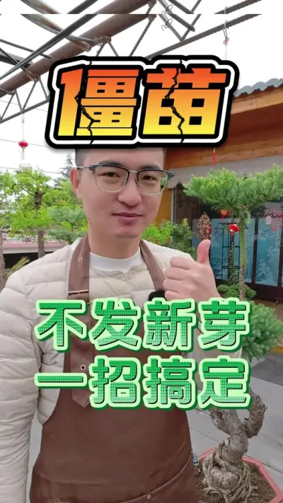 不发新芽、僵苗、不生长，教你一招搞定！#养花 #僵苗 #爆芽