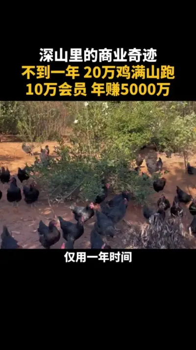 深山里的商业奇迹，不到一年，20万鸡满山跑10万会员&hellip;&hellip; #三农 #乡村振兴 #商业模式 #农场 #认养