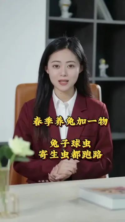 春季养兔加一物，兔子球虫寄生虫都跑路 #肉鸽养殖 #兔子 #养兔人 #养兔小妙招#养兔子注意事项 #兔子一般吃什么