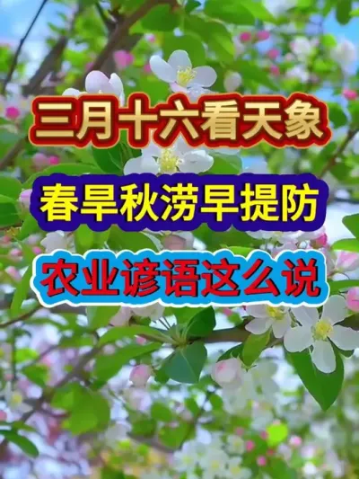 三月十六看天象春旱秋涝早提防农业谚语这么说 #农业谚语 #农业种植 #服务三农支持三农 #分享农业知识帮农民增产增收 #传播农业小知识