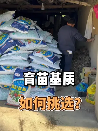 育苗基质怎么挑选？ #农业种植 #三农 #种植 #种菜