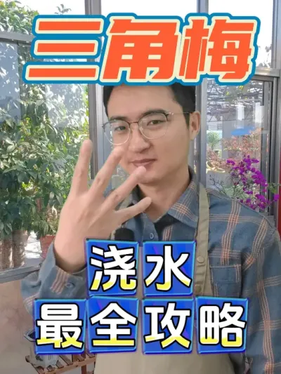 三角梅浇水全攻略！ #养花  #三角梅  #浇水