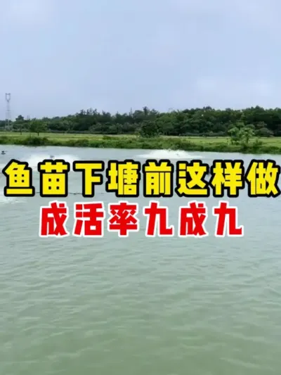 鱼苗下塘要做些什么注意些什么 #水产养殖 #养鱼 #养殖 #农村 #鱼